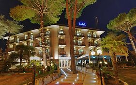 Hotel Vina De Mar